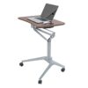 SMLJLQ Multifunctional Office Home Computer Mobile Lifting Table Mobile Lecture Table Computer Desk Drafting Table (Color : B)