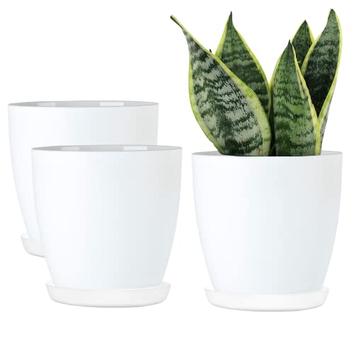 ORTEN Plant Pot Indoor Plastic Flower Pots for All House Plants, Herbs, Cactus, Orchid, Succulents Matt Colours, Set of 3 (Ø 12cm (4.72 in), Matt