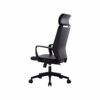 WALNUT Office Chair with Headrest Pillow Adjustable Ergonomic Lift Transfer Home Computer Chair Simple Modern Backrest Stool