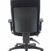 Office Hippo Professional 24 High Back Office Chair, 150 kg Weight Tolerance, 2D Arms, Asynchro Mechanism, Ratchet Back, Fabric, Black