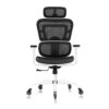 KERDOM Office Chair, Ergonomic Desk Chair with 3D Adjustable Headrest and Armrests Lumbar Support and Comfortable Reclining High Back Mesh Comput