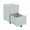 CEHA 2 Drawer Vertical File Cabinet with Lock - Commercial Filing Cabinets with 5 Wheels, Printer Stand for Home Office, 15" x 18.5" x 24.2", Ass