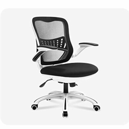 WALNUT Home Office Chair Ergonomic Desk Chair Mesh Computer Chair with Waist Support Armrest Rolling Rotary Adjustable Mid Back Task Chair (Color