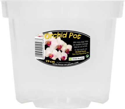 Clear Orchid Pot 19cm