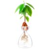 Avocado Sprout Plant Vase Avocado Tree Growing Vase Glass Garden Seed Starter Planting Vase Container Avocado Tree Growing Kit for Kids Adult Fri