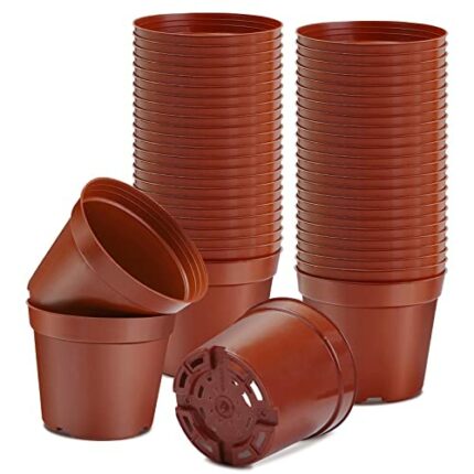 Muzhira Pots for Seed Starting/Cuttings, 6cm 10pcs Plastic Plant Nursery Pots,Seed Starting Pot Flower Plant Container for Seedlings, Cuttings, T