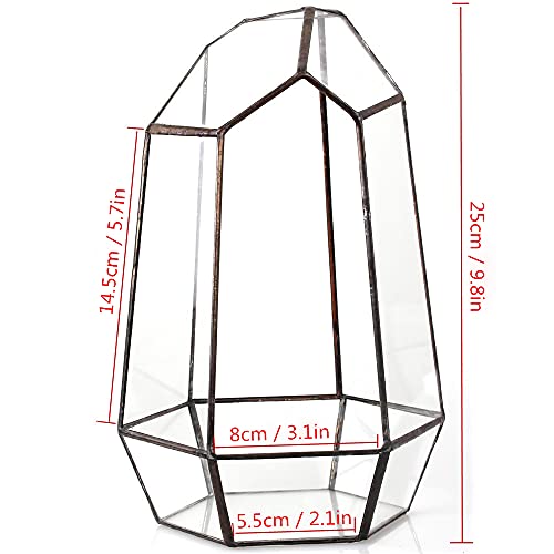NCYP Geometric Glass Terrarium for Succulent, Air Plants, Fern - 16.5x14.5x25 CM - Modern Garden Irregular Glass Planter Pot - Handmade Indoor Ta