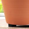 BELLE VOUS 50 Pack Invisible Plant Pot Feet - Invisible Black Flower Pot Risers - Non-Slip with Strong Self Adhesive Pads for Medium and Large Si