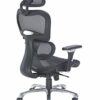Office Hippo Ergonomic Chair Office, Office Chair with Back Support, Office Chair with Arms, Mesh, Swivel, Black