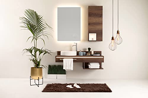 Olly & Rose Gold Plant Stand With Plant Pot Large Metal Planter with Black Stand Flower Pot for Outdoor and Indoor Plants and Flowers (Gold)