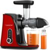 AMZCHEF Cold Press Juicer with 2 Speed Control - High Juice Yield Juicer Machines with Ultradense Filter - Masticating Slow Juicer for Whole Frui