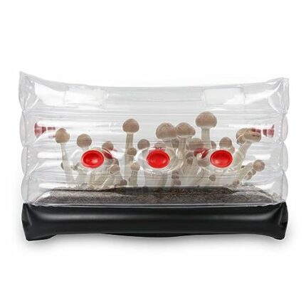 banapoy Mushroom Monotub Kit, Home Inflatable Mushroom Grow Tent Kit, Mycology Mushroom Grow Bags with Plugs, Filters and Pump for Fresh Air Exch