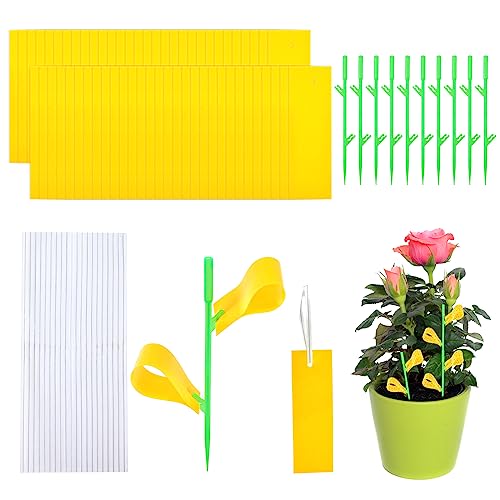 24pcs Fruit Fly Trap, Sticky Fruit Fly and Fungus Gnat Trap, Dual-Sided Fruit Fly Trap Bug Catcher for Protect Plants and Control Indoor Plant Bu