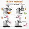 AMZCHEF Juicer Machines - Cold Press Slow Juicer - Masticating Juicer for Whole Fruits and Vegetables - Delicate Chew No Need to Filter - BPA Fre