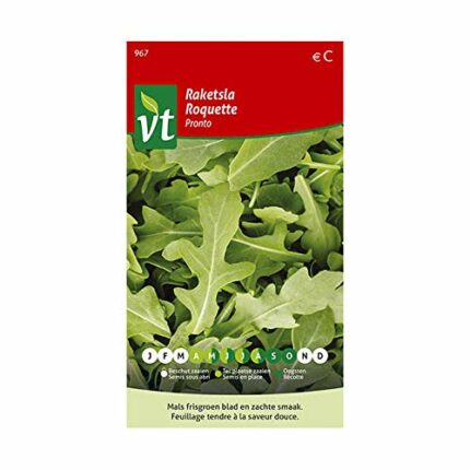 Arugula Pronto Olive Leaf Seeds per Gram - True Italian Specialty - 1 g - Seeds per Gram: 4000