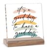 Desk Decorations For Women Office Bathroom Signs Shelf Décor Aesthetic Motivational Desk Decor For Coworker - It‘s A Good Day To Have A Good Day