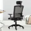 WALNUT Chairs,Office Chair High Back Mesh Office Chair with Adjustable Headrest, Armrest, Seat Height, Lumbar Support and Tilt Tension(Color : Bl