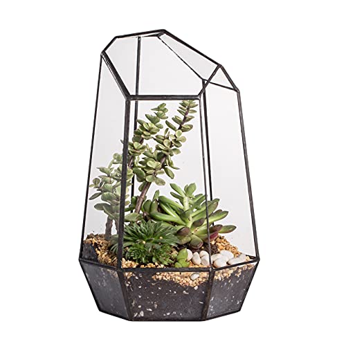 NCYP Geometric Glass Terrarium for Succulent, Air Plants, Fern - 16.5x14.5x25 CM - Modern Garden Irregular Glass Planter Pot - Handmade Indoor Ta