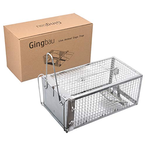 Gingbau 2-Pack Humane Live Mouse Rat Traps (Medium)