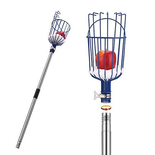 MaidMAX Fruit Picker, 13 Foot (4M) Fruit Picker Pole with Basket Apple Orange Picker Tool Gardening Picks with Lightweight Stainless Steel Connec