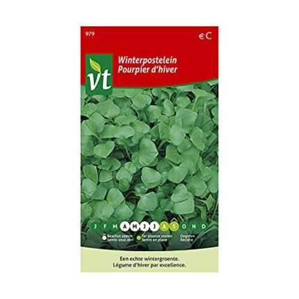 Winter Purslane Seeds per Gram - an appetizing Variation in The Range of Winter Vegetables - 0,75 g - Seeds per Gram: 2000