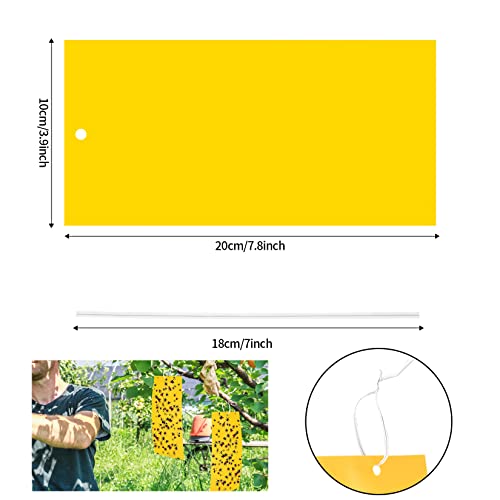 Dual-sided Fly Trap Sticky, 25Pcs Plant Fly Catcher, Board Fruit Fly Traps Sticker Insect Gnat Traps, Yellow Fly Stickers for Mosquitos, Flying A