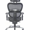 Office Hippo Ergonomic Chair Office, Office Chair with Back Support, Office Chair with Arms, Mesh, Swivel, Black
