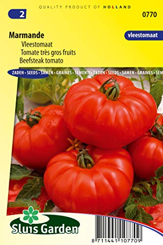 Tomato Marmande Vegetable Seeds per Gram - Beefsteak Tomato with Ribbed, flattened Oval Fruits - 0,2 g - Seeds per Gram: +/-75