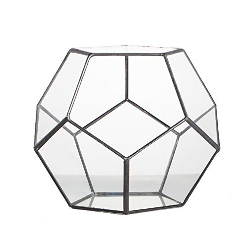 NCYP 15cm Small Glass Geometric Terrarium Planter, Tabletop Pentagon Display Terrarium Pot for Succulent Cacti Fern Moss Air Plants, Indoor Home