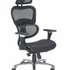 Office Hippo Ergonomic Chair Office, Office Chair with Back Support, Office Chair with Arms, Mesh, Swivel, Black