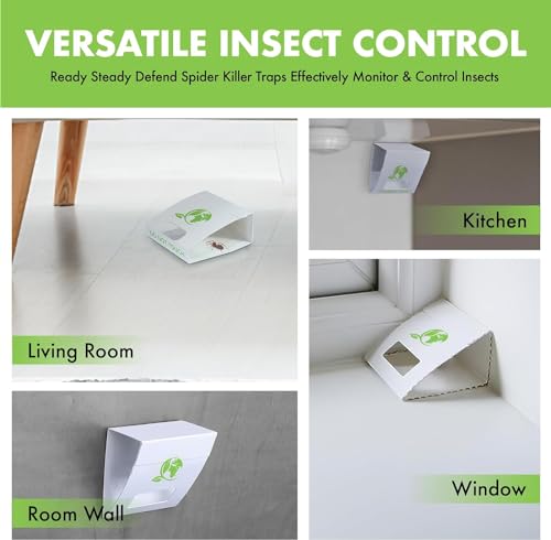 Spider Trap 30 Pack | Spiders And Crawling Insect Killer Traps