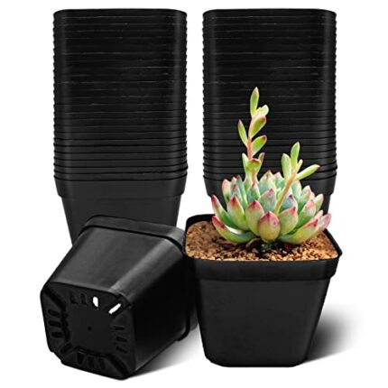 WAIZHIUA 50Pcs Plant Flower Pots 10cm Plastic Square Plant Nursery Pots Small Flower Plant Container for Succulent Fruit Vegetable Seedlings Tran