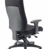 Office Hippo Professional 24 High Back Office Chair, 150 kg Weight Tolerance, 2D Arms, Asynchro Mechanism, Ratchet Back, Fabric, Black