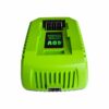 aunstarwei 40V 2A Replacement Battery Charger Compatible with Greenworks 40V Battery Lithium Ion 29482 29462 29472 2901319 2938302 BAF702 L-300 B