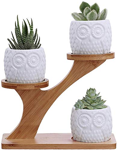 KPUY Owl Succulent Pots 3 Pcs with 3 Tier Bamboo Saucers Stand Holder, White Owl Succulent Plant Pots with Drainage and Bamboo Stand, Great for O