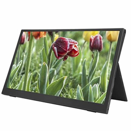 Annadue Portable Monitor, 15.6 Inch Full HD Computer Display, IPS Portable Ultrathin Display Game Console Computer HDMI Type‑c Split Screen 1080P