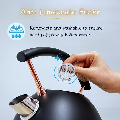 Rasonic Classic Retro Electric Kettle 1.8L Stainless Steel, 3KW Fast Quiet Boiling, Temperature Gauge, LED Light, Auto Shut-Off, Home Kitchen, Of