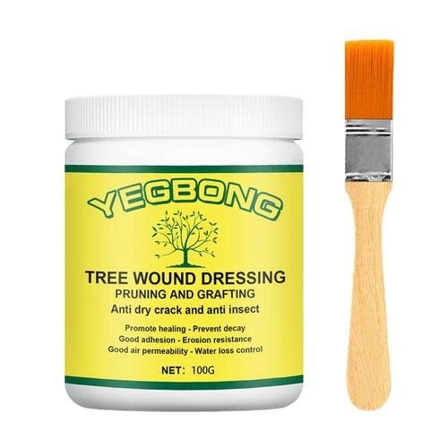 mein Plant Wound Pruning Sealer | Tree Pruning Cutting Paste | 100g Tree Wound Dressing with brush, Bonsai Wound Healing Agent, Plant Grafting an