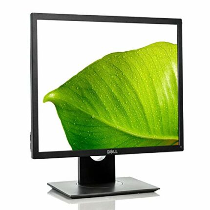 Dell P1917S Monitor