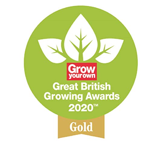 Spear & Jackson 5710BP Midi Bulb Planter, Blue