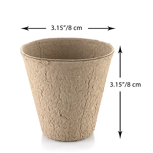 Little Chiltern Co 70 pack Biodegradable Plant Pots for growing Seeds - Round Fibre seedling pots for Outdoor Indoor Growing Plants - Seed starte