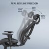 HUANUO Office Chair Ergonomic Desk Chair with 2D Adjustable Lumbar Support and Headrest, Armrest, Large Office Swivel Chair, Tilt Function Comput
