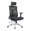 ZXNRTU Relax Comfortably Safe Ergonomic Office Chair High Back Mesh Computer Chair with Lumbar Support Adjustable Armrest, Backrest and Headrest