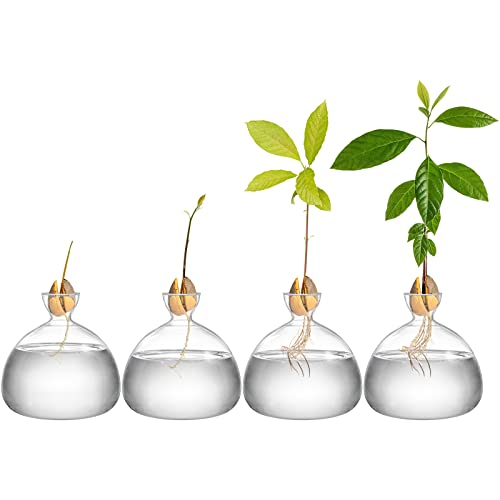 Hiceeden Avocado Seed Starter Vase Planter, Clear Avocado Tree Growing Kit Pot, Medium Avocado Vase Grow Glass Plant Pot Gift for Indoor Outdoor