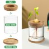Avocado Tree Growing Kit - Avocado Pit Planting Bowl with Cork and Wooden Base, Cultivating Seedlings in Novel Way, Great Gift for Family Friends