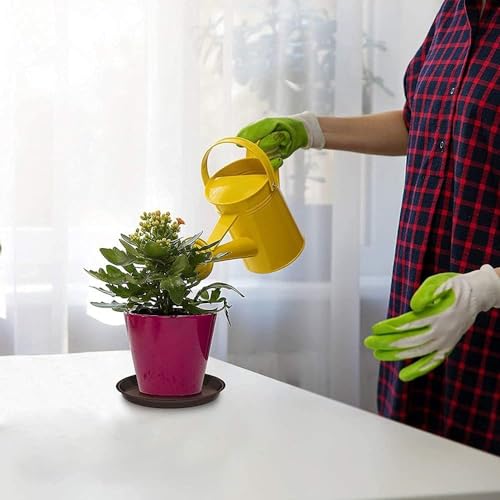 HBSTK 18 Pack Plant Saucers,urable Thicker Plastic Plant Trays for Indoors and Outdoor, Plant Saucer Drip Trays (150M / 20CM/25CM, Black,Clear,Br