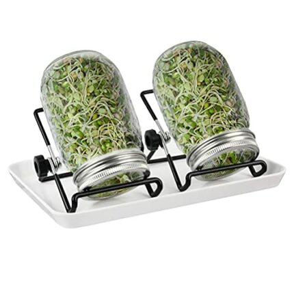 TMBMLPP Sprouting Seeds Jar-2 Sprouting Jar With Stand, Tray And Lid, Sprouting Jars with Mesh Lids, Seed Sprouting Jar, Sprouting Mason Jar For