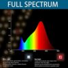 Barrina T5 Grow Lights for Indoor Plants, Full Spectrum Sunlight, 1FT Plant Growing Lamp with Auto On/Off 4/9/14H Timer, LED Grow Light Strip wit