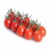 Tomato Seeds Solemio - Heirloom Indeterminate Cherry Plum Vine Tomato Plant Seed