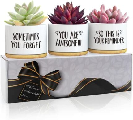 Birthday Gifts For Women, Gifts For Her, 50th Birthday Gifts For Women, Presents for Women, Gifts For Women Birthday Unique, Garden Gifts For Wom